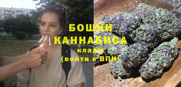молекула духа Ельня