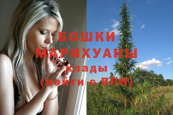 mdpv Елабуга