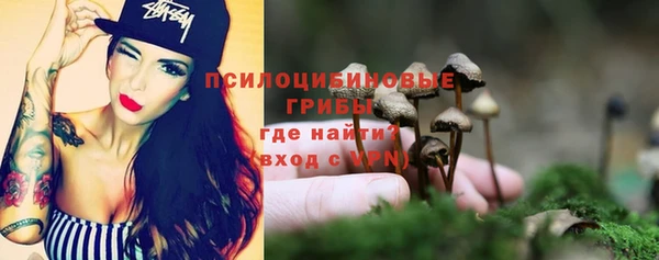 mdpv Елабуга