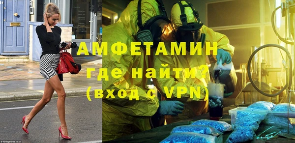 молекула духа Ельня