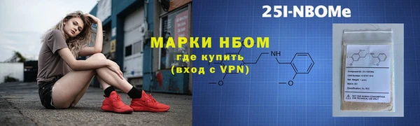 молекула духа Ельня