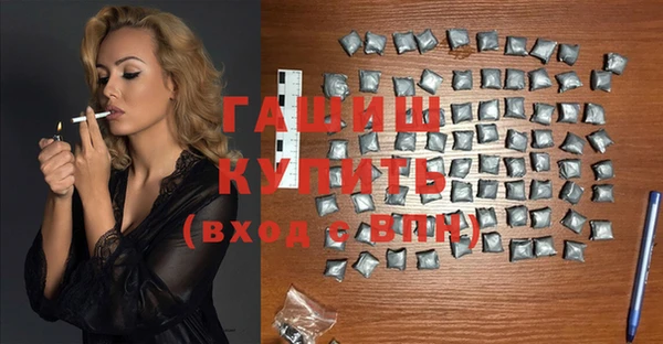 молекула духа Ельня