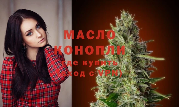 молекула духа Ельня