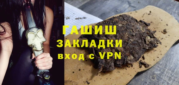 молекула духа Ельня
