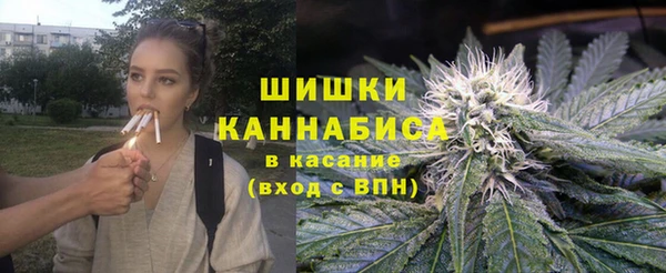 молекула духа Ельня