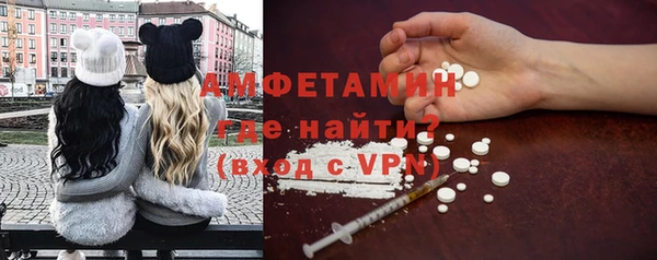 молекула духа Ельня