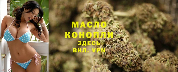 молекула духа Ельня