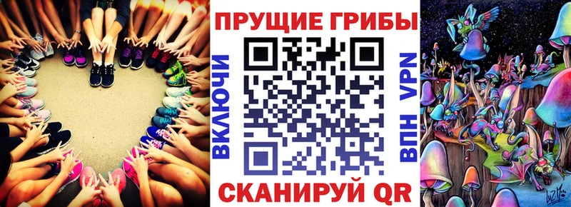 хочу   Майкоп  Галлюциногенные грибы Psilocybine cubensis 