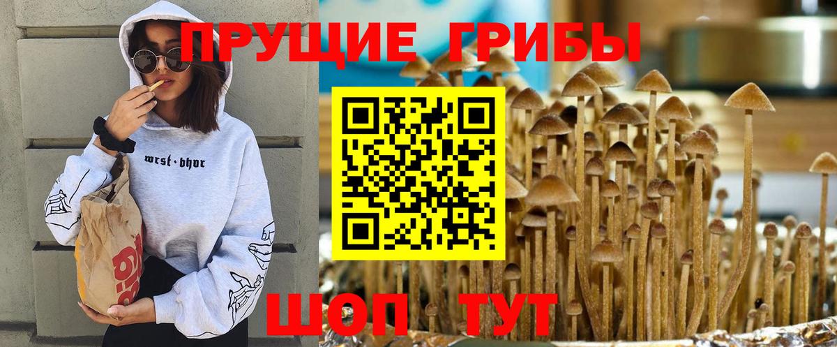 магазин  наркотиков  Псилоцибиновые грибы прущие грибы  Вход с VPN  Майкоп  Галлюциногенные грибы ЛСД 