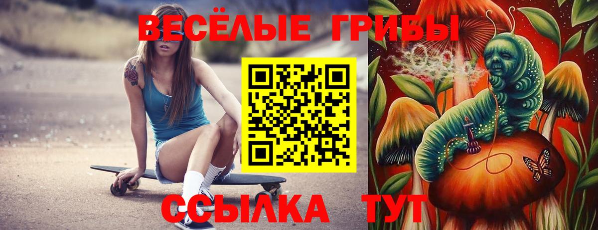 Галлюциногенные грибы мицелий Майкоп